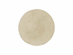 Shampoing solide à la poudre de shikakaï 70 gr